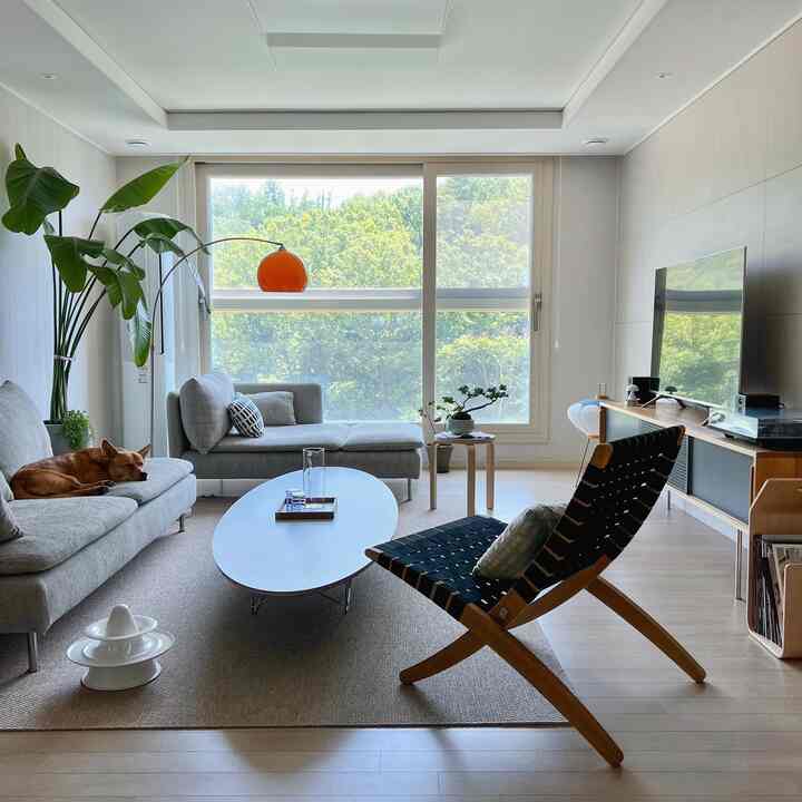 Natural tone living room with large window, gray sofa, wooden chair, and a dog resting comfortably