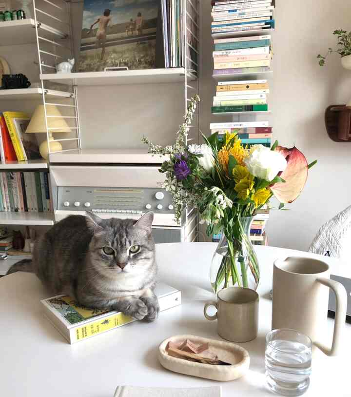 White-toned living room featuring a vase of flowers, bookshelf, and a cat sitting on the table, creating a cozy natural atmosphere