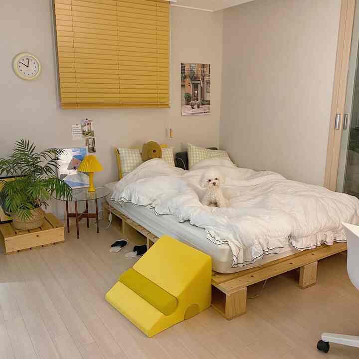 Cozy bedroom featuring white bedding on a wood-tone low bed, accented by yellow elements; a pet dog sits on the bed