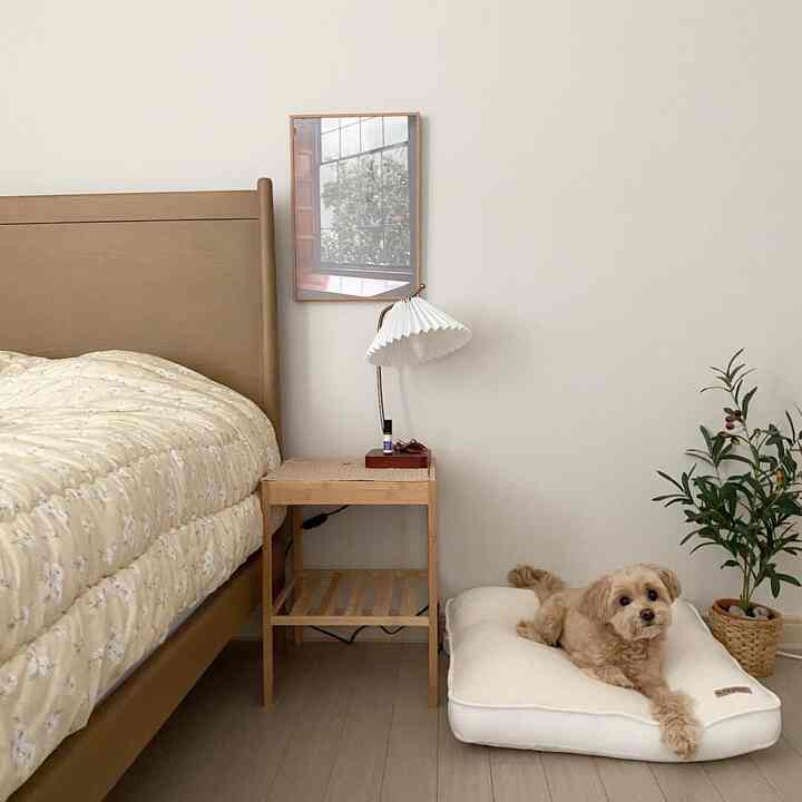 ナチュラルな木目調と白を基調とした寝室、白いペットベッドの上でくつろぐ犬のいる雰囲気のあるインテリア