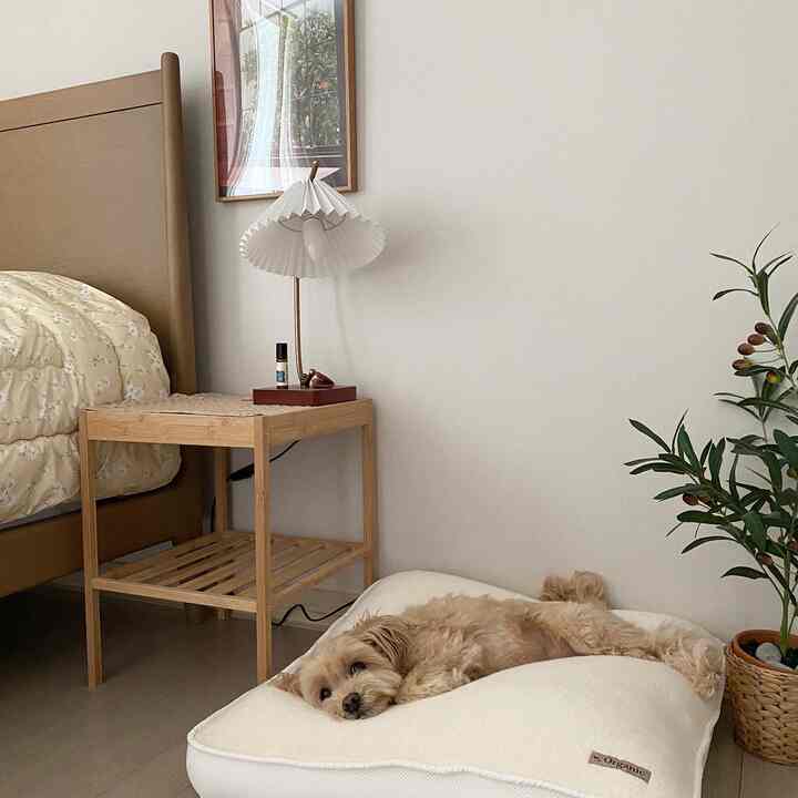 ベージュと木目調の寝室、ナイトテーブルにランプが置かれ、ペットベッドで犬がくつろぐ雰囲気のある空間