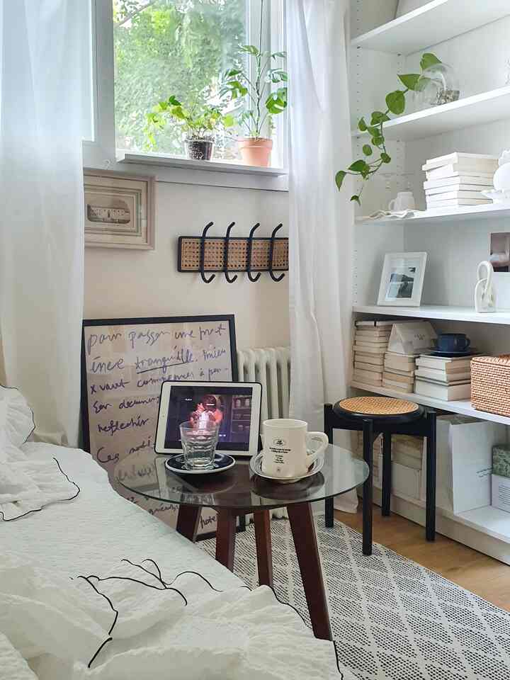 White and brown toned single household living room featuring a sofa bed, coffee table, natural light, and plants creating a cozy atmosphere