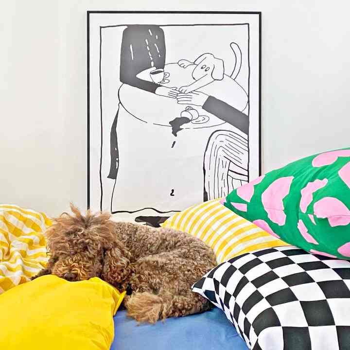 黄色、黒、緑のクッションと掛け布団カバーがある寝室、茶色の犬がクッションの上で休んでおり、壁に額縁が飾られた雰囲気のあるインテリア