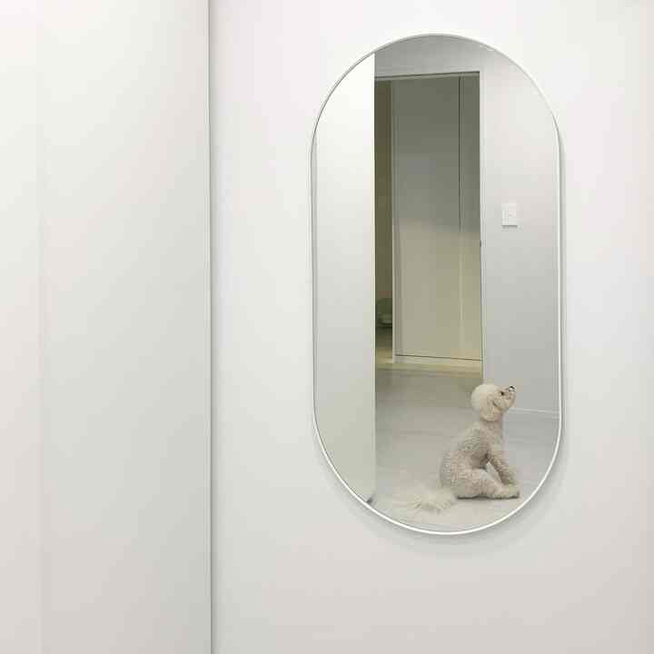 White-toned walk-in closet featuring a large oval full-length mirror on the center-right wall, with a small white dog sitting reflected in the mirror, simple atmosphere
