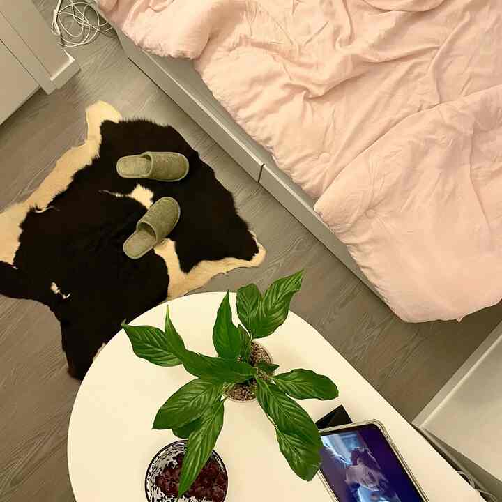 6-tatami-sized studio bedroom with pink bedding and white table, featuring a green plant centrally placed creating a cozy atmosphere