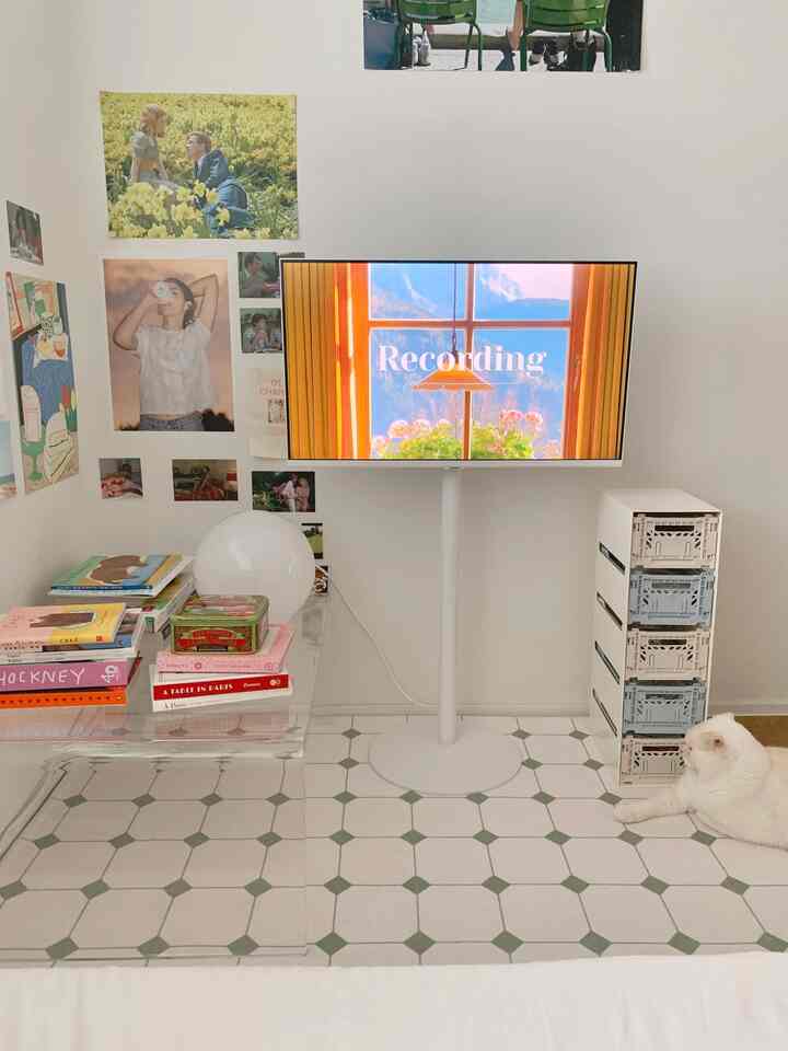 白と透明素材が調和したリビング、壁に写真が飾られ、テレビと棚、折りたたみ収納ボックスがあり、床の右側に猫がいるシンプルな空間