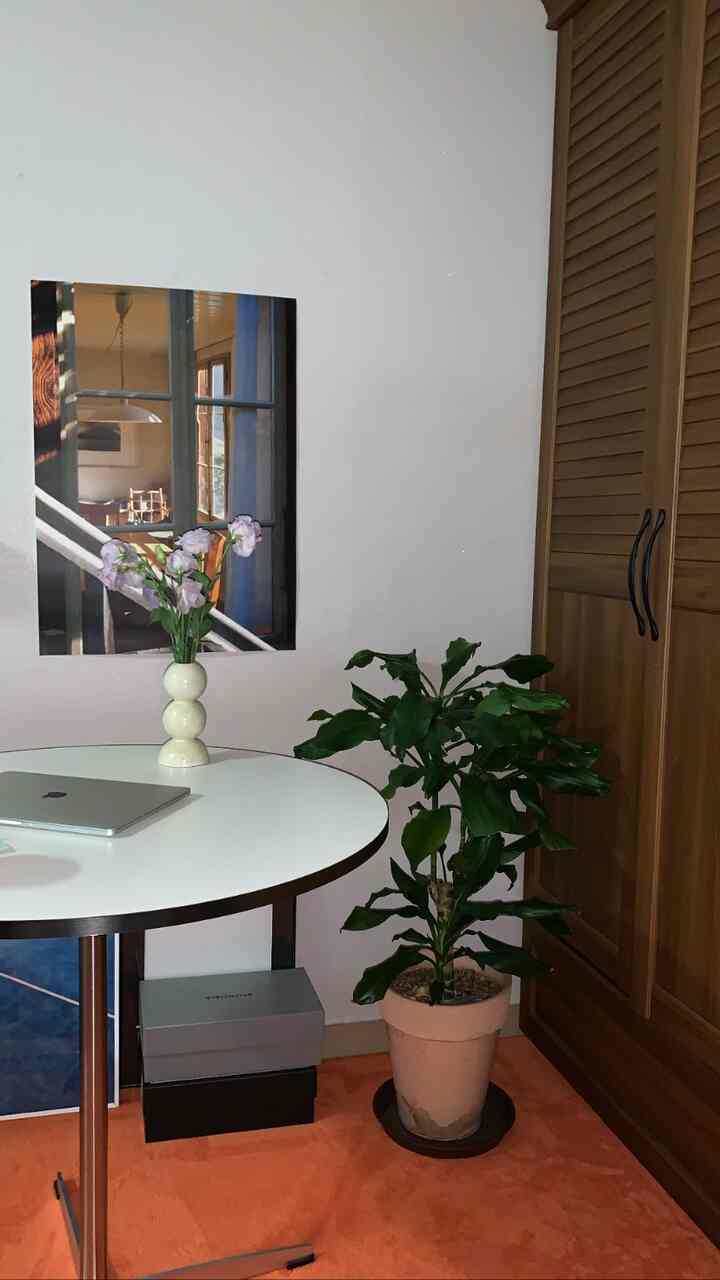 White-walled bedroom with a round table, vase of flowers, and a large green plant arranged warmly