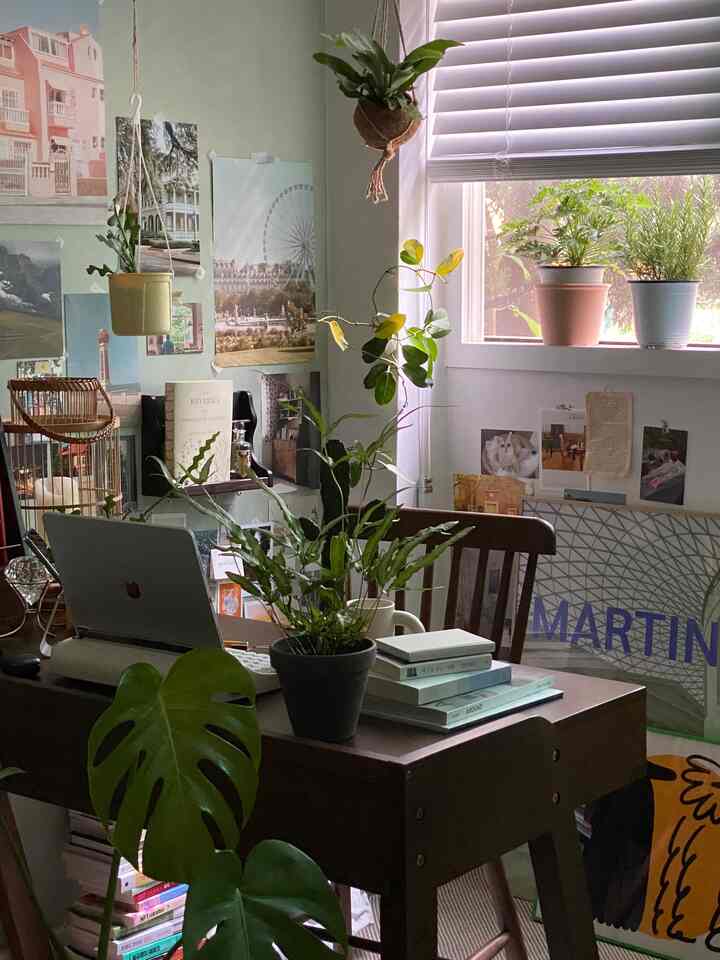 夏の季節、緑の人々を丁寧に調べるために窓辺に移住完了。近く守り、のどが渇いてスバルドは季節。サクッとよく成長するのを見ると、小さな気持ちで心が満たされますね。