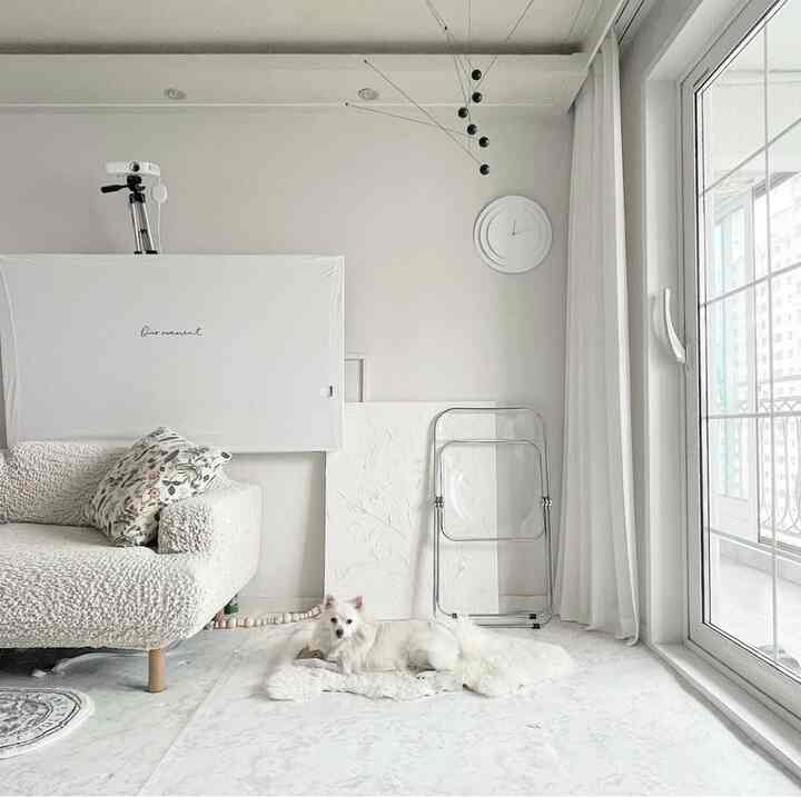 White-toned living room featuring a white sofa, sheer curtains, and a dog lying on a rug in a modern setting