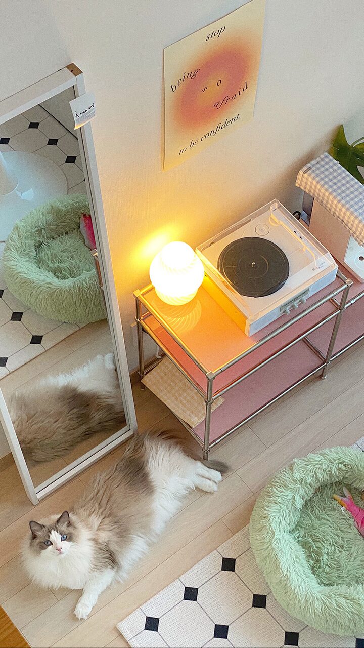 short form carousel card thumbnail