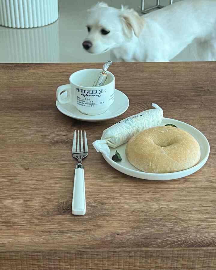 茶色の木製ダイニングテーブルにコーヒーカップとパンが置かれ、上部には白い犬が見える雰囲気のあるおうちカフェ