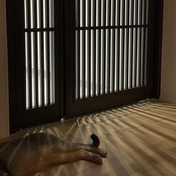간살업체에 직접 맡기니 비용이 250-300초반까지 견적이 나와 빡쳐서 제가 직접 중문 공장을 발품팔아 100만원초반대로 완성했어요!
가격도 가격이지만 고생많이해서 그만큼 이쁘게 디자인이 나와 뿌뜻하네요 :