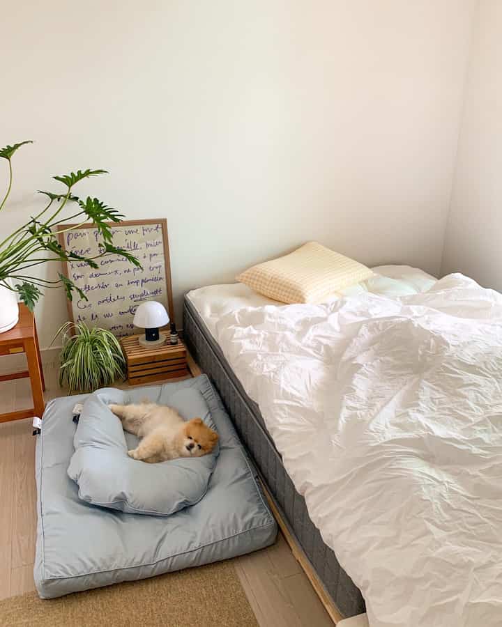 ホワイトとウッドトーンが調和する寝室、ベッドとペット用ベッドが配置された居心地の良いナチュラルな空間