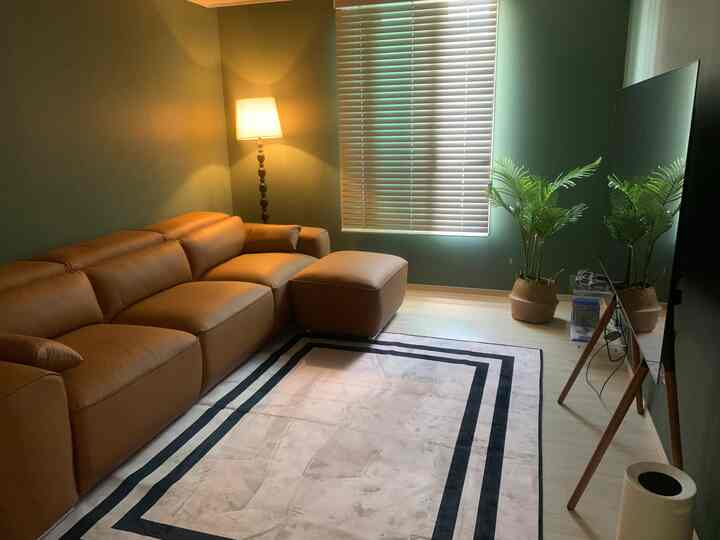 Cozy living room featuring a camel leather sofa and green walls, accented with a floor lamp and plants