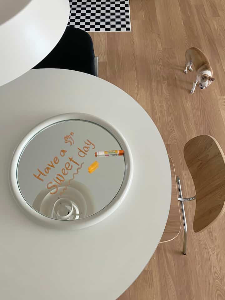 Natural wood tone floor and white round dining table with a pet dog in a kitchen space