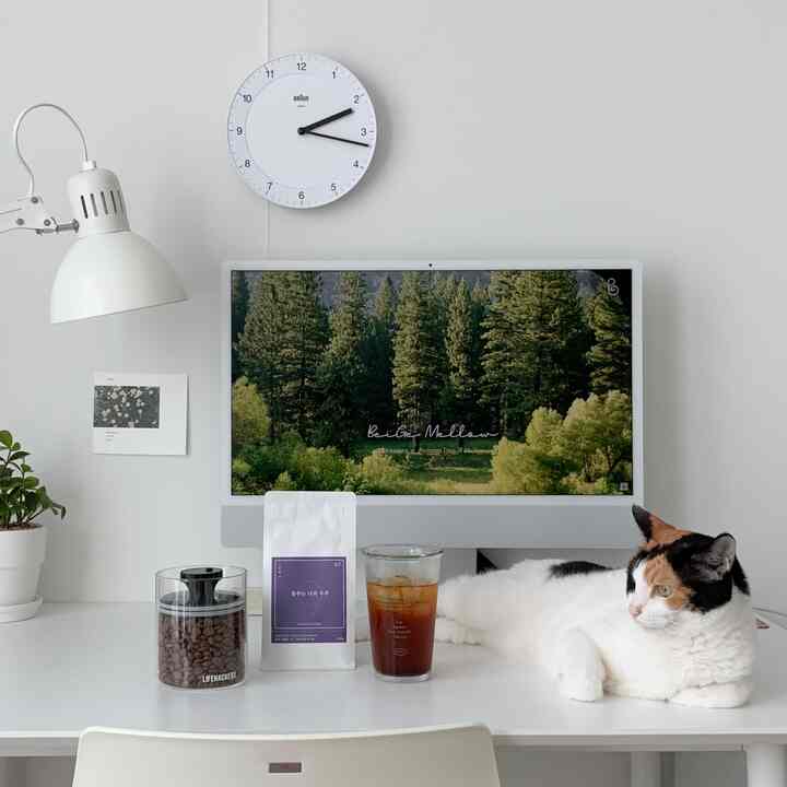 White-toned home office space featuring an iMac, coffee items, and a cat resting on a tidy desk
