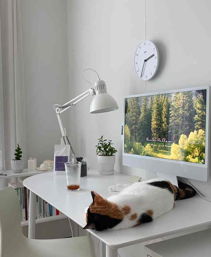 Bright white toned home office featuring a desk with an Apple iMac, reading lamp, and a calico cat resting comfortably on the desk