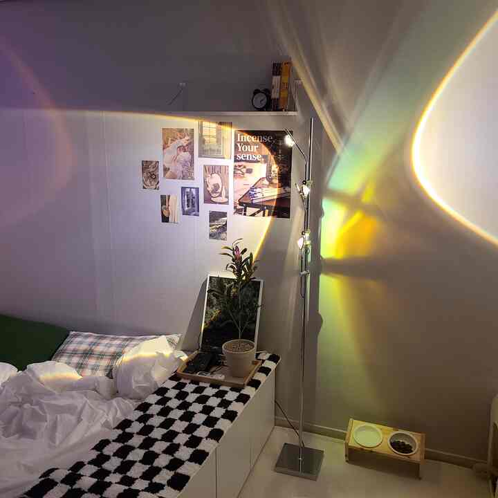 White-toned bedroom featuring checkered rug, floor lamp, shelves, dresser, pet feeding bowls, and a plant creating a cozy space