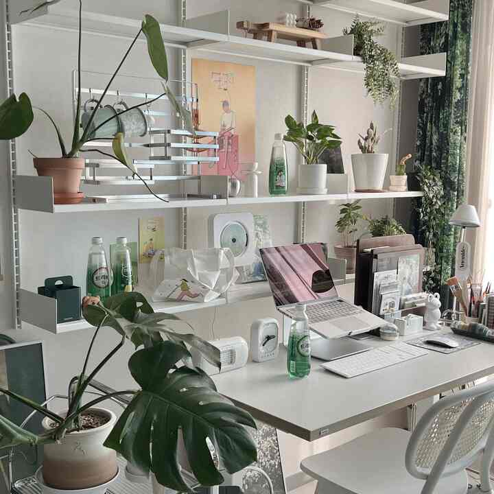 White and green toned home office featuring a desk with plants and a laptop on shelves creating a clean workspace