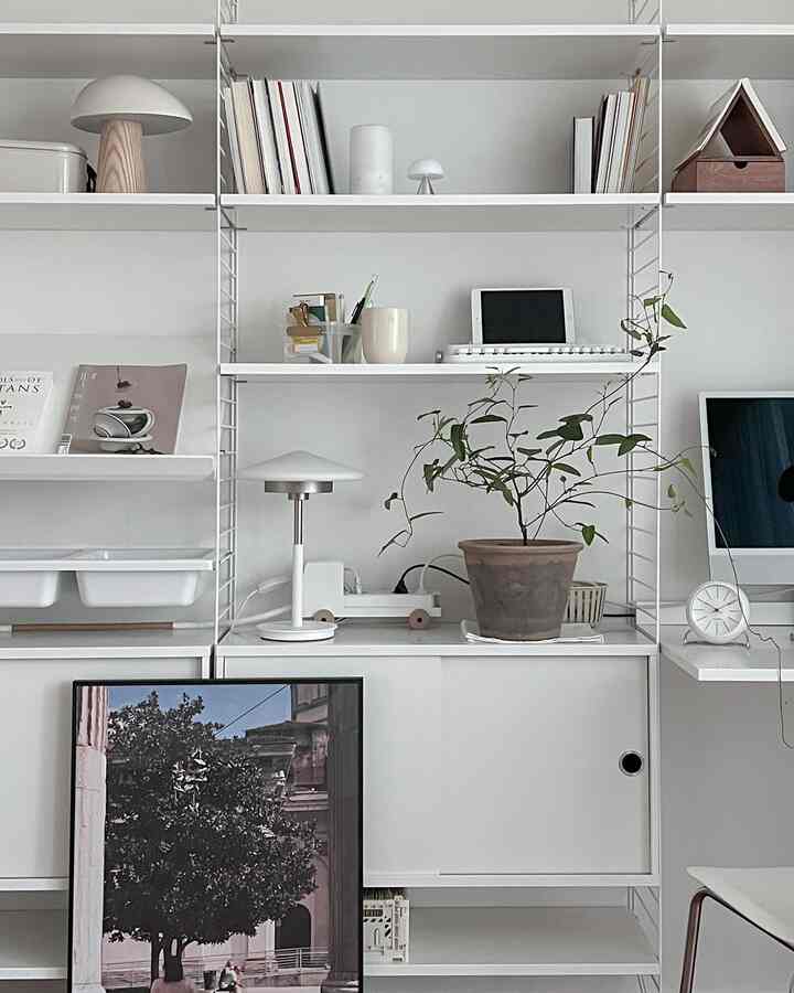 A simple home office space in white and natural tones featuring clean bookshelves and a plant in a modern interior