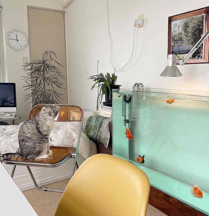 白い壁とベージュの床のリビング、透明な椅子に座る猫と大きなガラス水槽が配置された落ち着いた雰囲気のインテリア