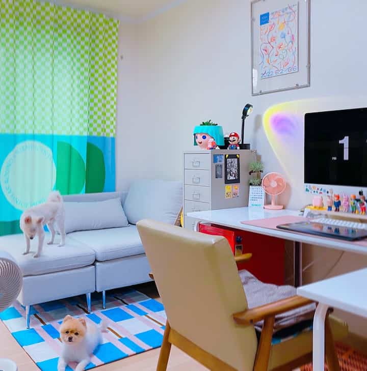 緑と青のカーテンを背景にしたホームオフィス、明るいソファと２匹の小さな犬がいる温かみのあるインテリア