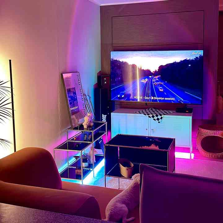 Modern cozy living room with pink sofa and mood lighting, featuring TV and cat house in an Instagrammable setting