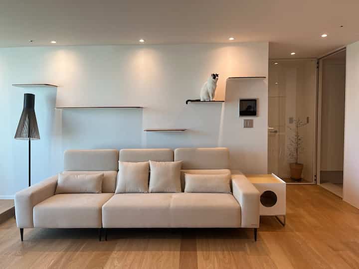 Living room with white walls and wood-tone floor featuring a beige sofa and wall shelves for cats with a pet house, creating a cozy atmosphere