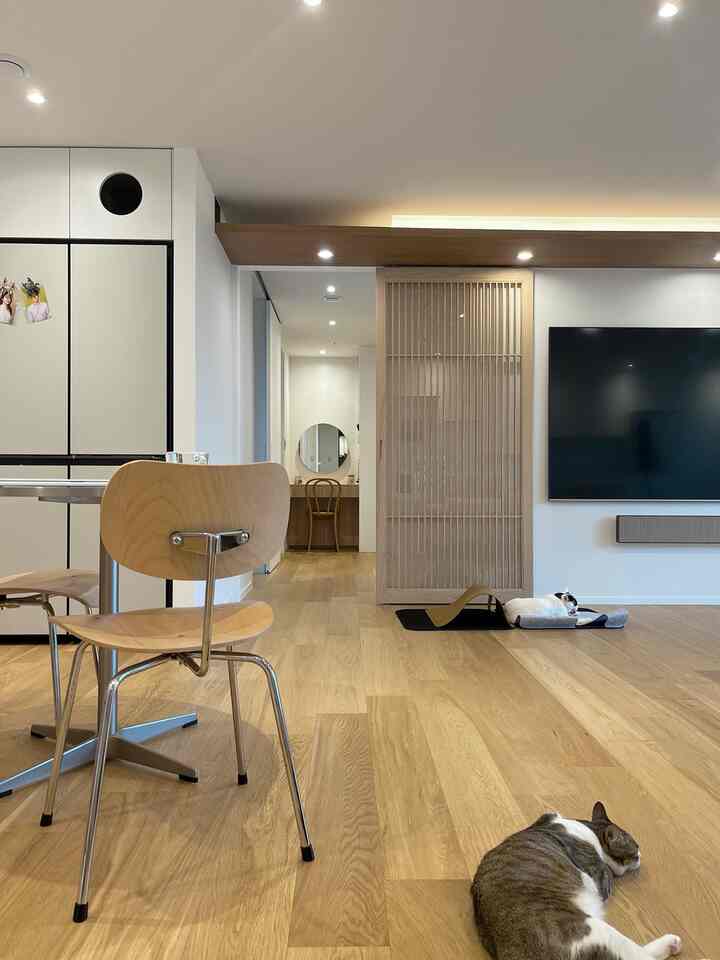 Natural wood tone and white living room featuring slatted sliding door and built-in closet, designed for living with cats