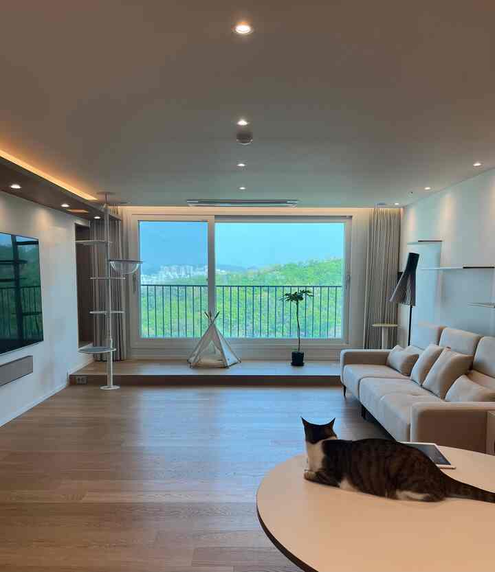 White and wood tone living room featuring a sofa, cat tower, and large window creating a peaceful space