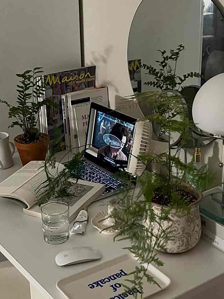 Uploading all the photos I took recently🤍