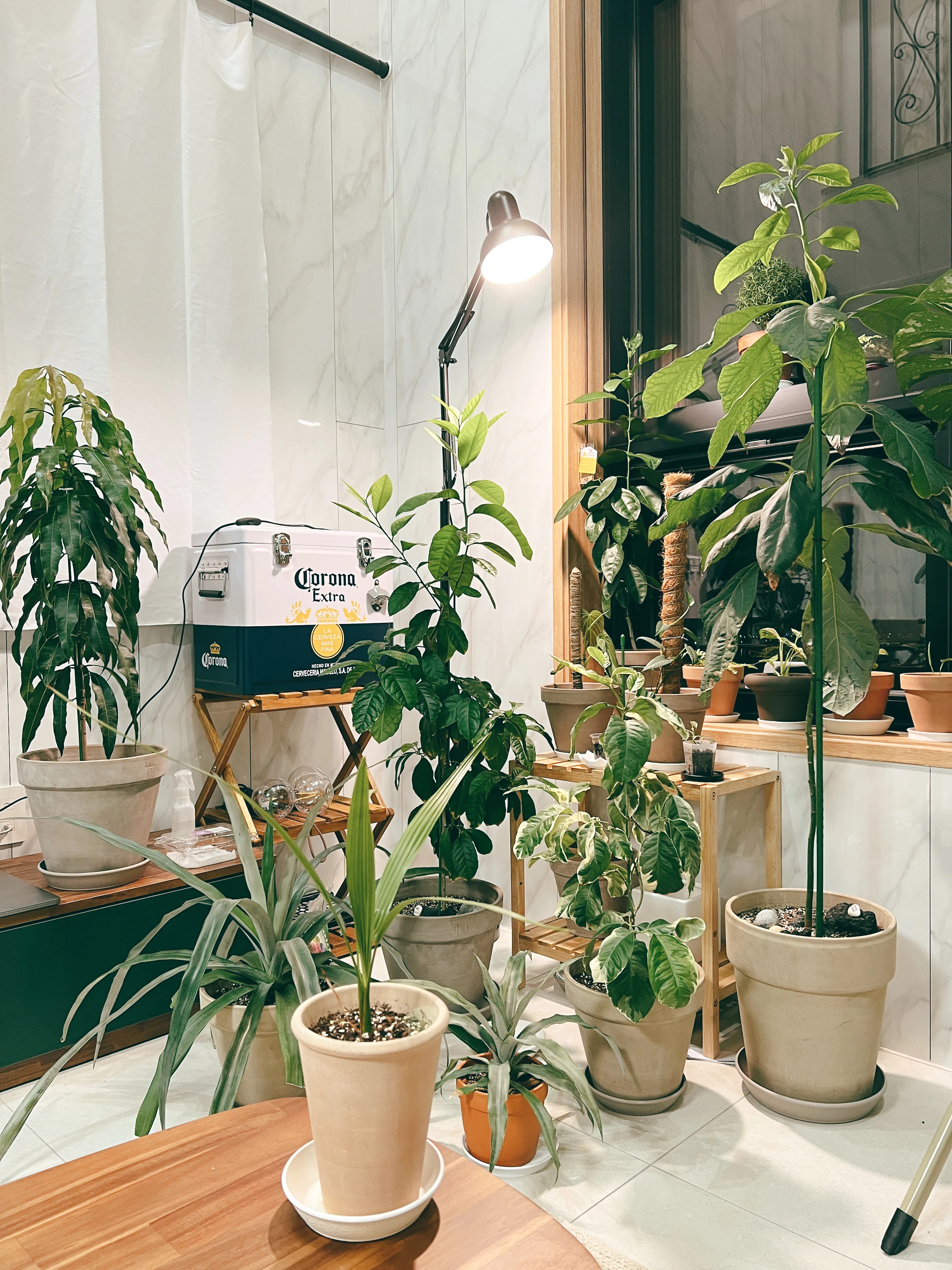 Solid Wood Plant Stand user photo