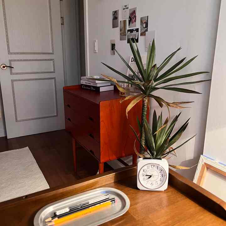 白い壁と茶色の木製デスクが配置されたミッドセンチュリーモダンの小さな部屋