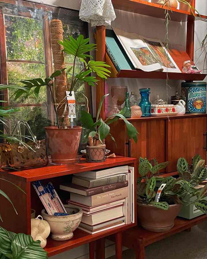 温かみのあるブラウンの木目調と緑豊かな植物が調和するリビング、ヴィンテージ小物や本棚が配置された雰囲気のあるインテリア