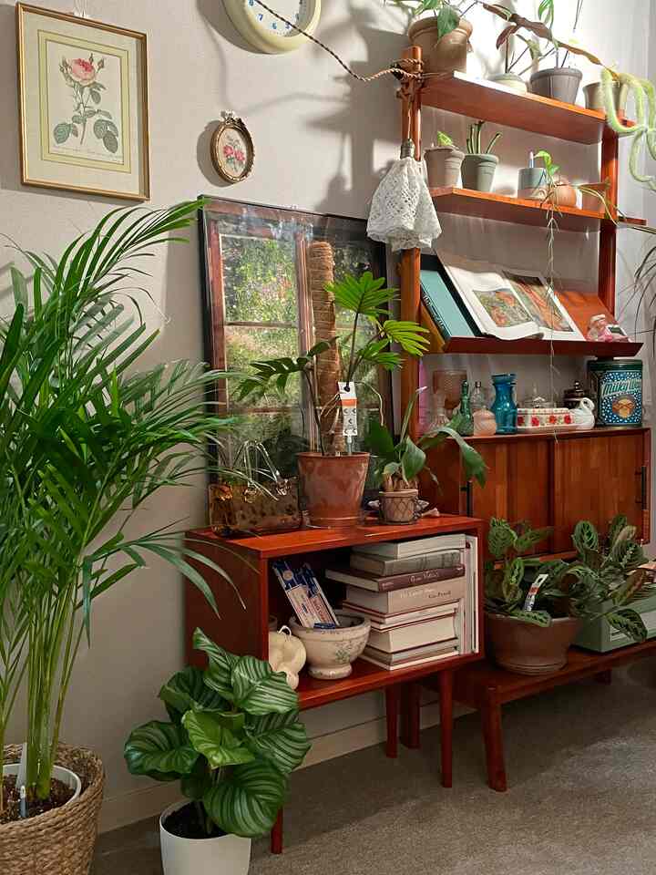 ナチュラルなブラウン調のリビング、緑豊かな植物と木製キャビネットが調和した雰囲気のある空間