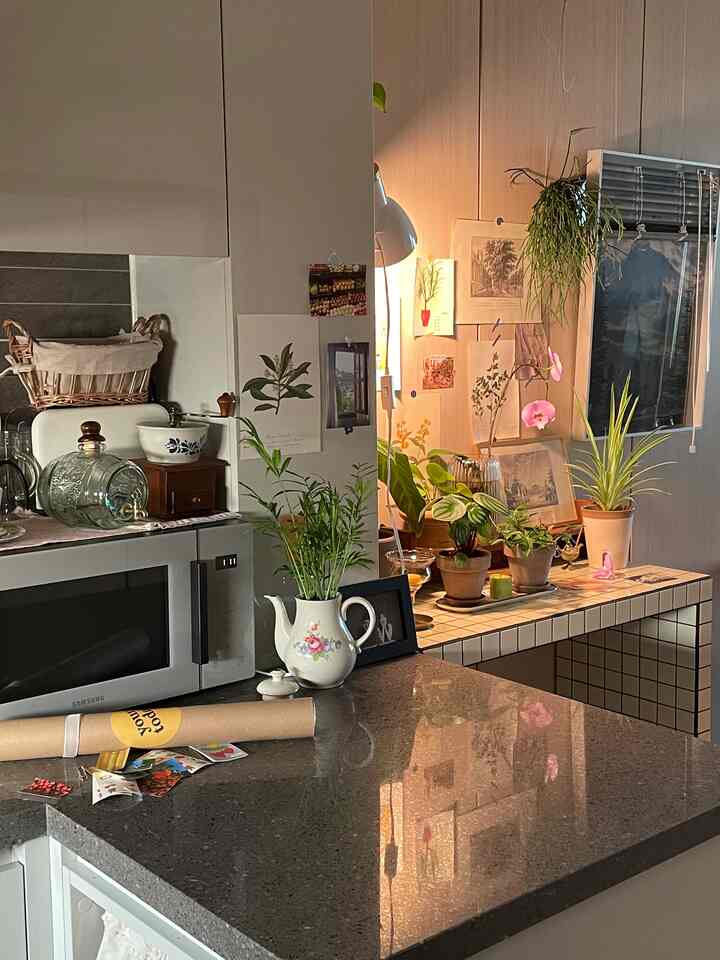 明るいホワイトトーンのキッチン空間で、照明に照らされた複数の鉢植え植物が配置された雰囲気のあるインテリア