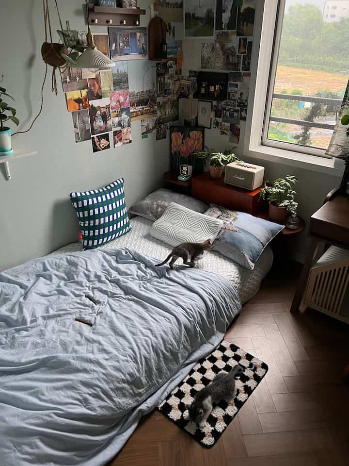 柔らかなブルーと木目調が調和した寝室、掛け布団とラグの上に二匹の猫がいる雰囲気のあるインテリア