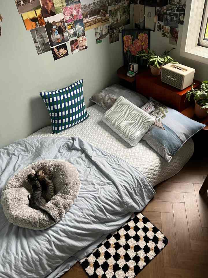 Blue and white toned bedroom featuring a cozy bed, plush pet bed with two cats, and decorative plants creating a warm atmosphere