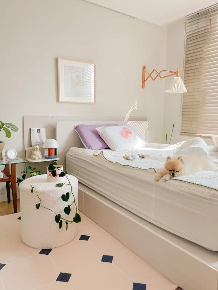 Bright white and beige bedroom featuring bed with pillows and bedding, beige blinds filtering sunlight, and a small dog resting on the bed creating a cozy atmosphere