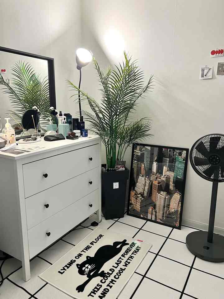 White and black toned studio apartment featuring a dresser with vanity mirror, floor lamp, and green plant in a clean, minimalist setup