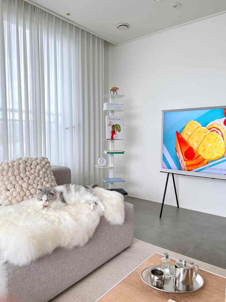 White and natural toned living room featuring a gray sofa with a cat resting comfortably in a simple interior space