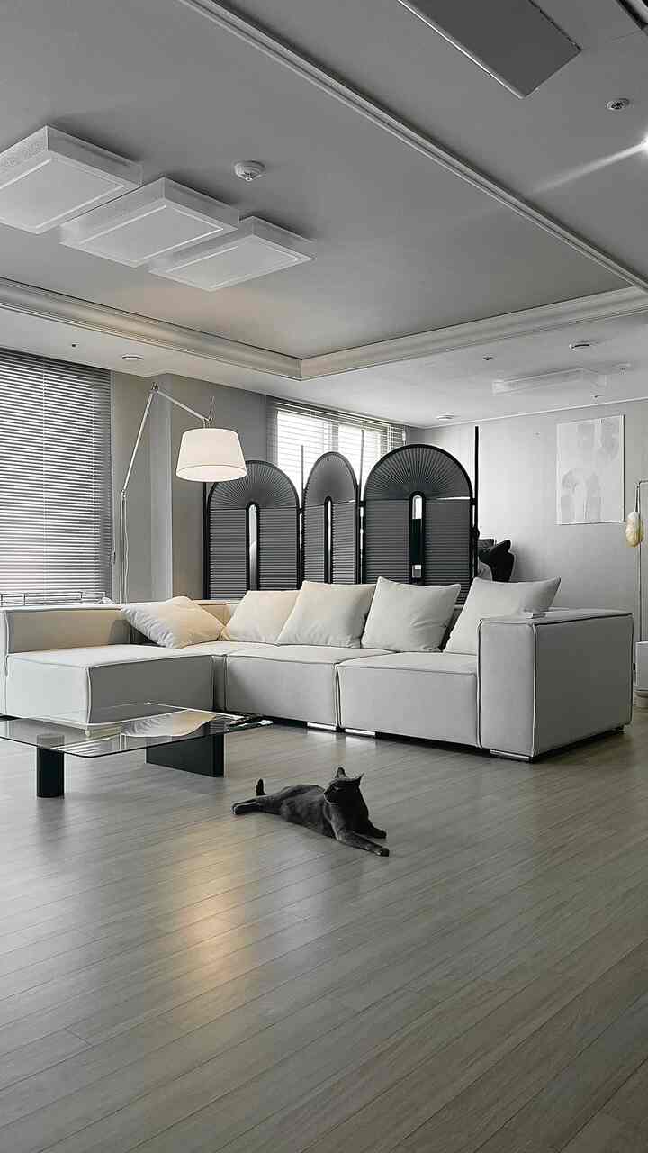 ホワイトのソファとブラックのパーティションがあるリビング、中央の床に猫が寝そべるモダンな印象的な空間