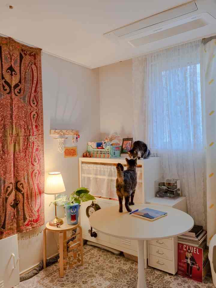 Penataan furnitur baru di ruangan kecil :) Ruangan yang terlihat seperti dewa kucing sedang membaca kartu tarot. Para tamu sudah masuk 🐈🐈