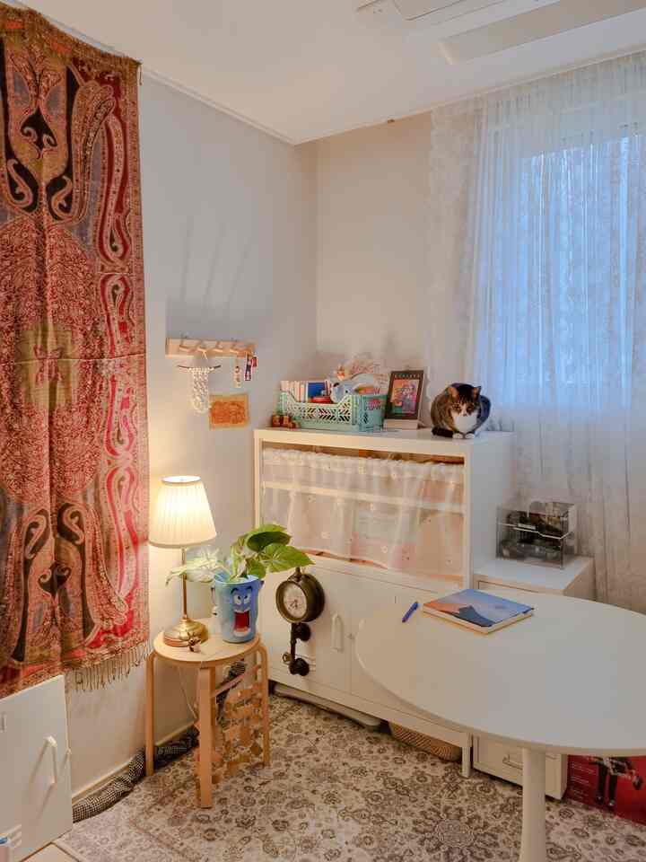 Beige and white toned small room featuring a patterned rug, wooden stool, white cabinet topped with a cat, creating cozy atmosphere