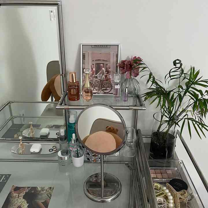 Simple modern space with white walls and metal-frame vanity featuring transparent trays, mirrors, and green plant