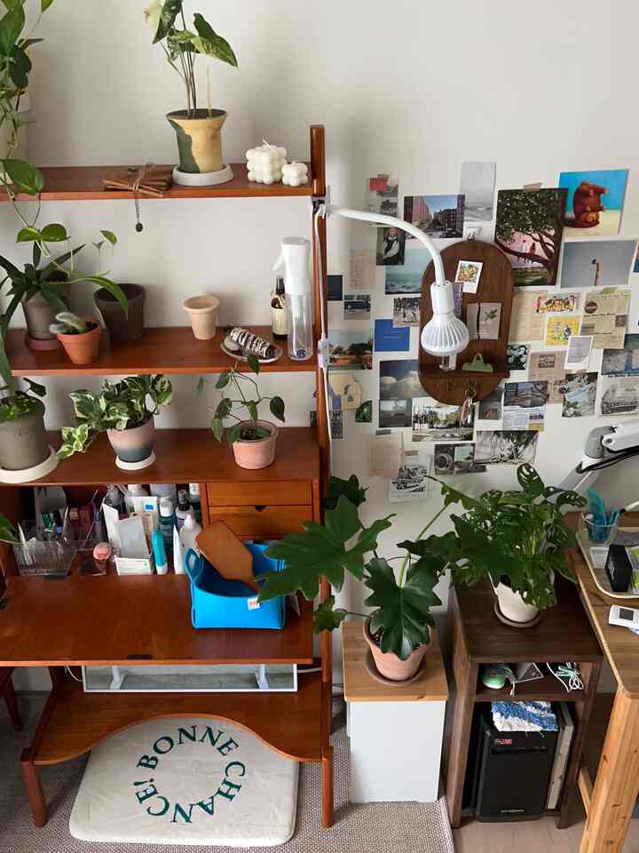 白い壁と茶色い木製家具が調和する狭いリビング、多様な植物とウォールデコが自然な雰囲気を醸し出す空間