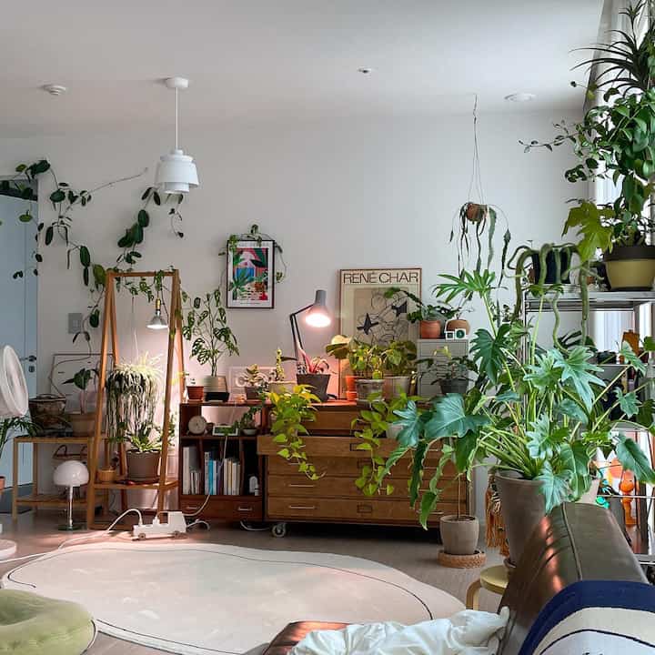 明るいホワイトと木目調のリビング、多種多様な植物が豊富に配置された雰囲気のあるプランテリア空間