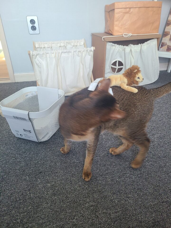 short form carousel card thumbnail