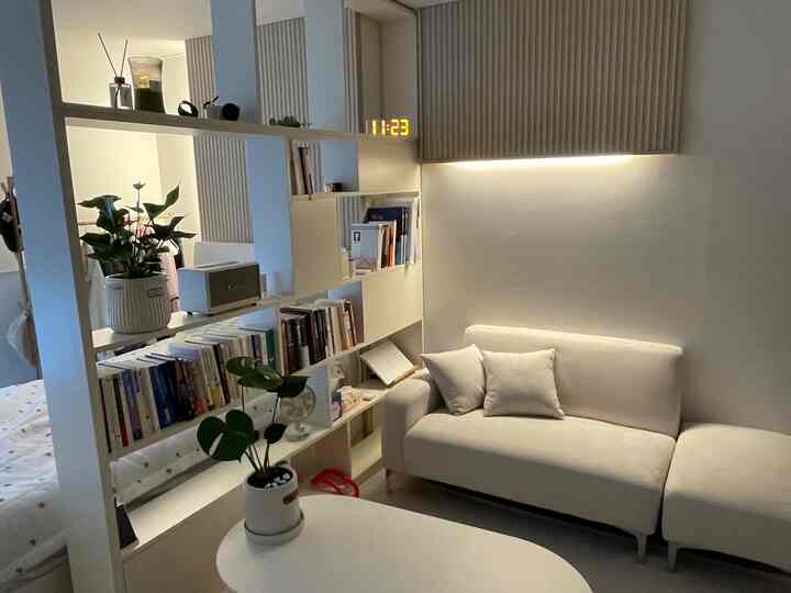 Bright white-toned compact living room featuring sofa and bookshelf with a natural and cozy atmosphere