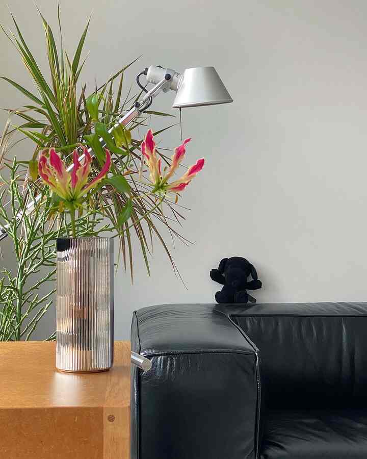 Black leather sofa and wood tone table with plants and floor lamp in a modern natural living room